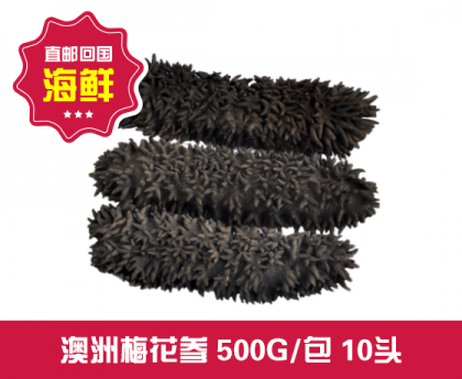 【直发回国】澳洲梅花参500G10头左右装